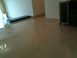 Valley Park (D10), Condominium #97137972